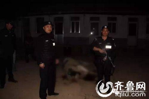 Jinan cow get rid of fences and even wounding two others, the police 